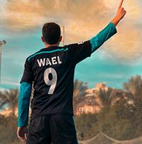 Mohamed Wael Profile Picture