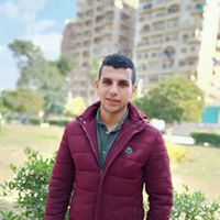 Mohamed Elzghapey Profile Picture