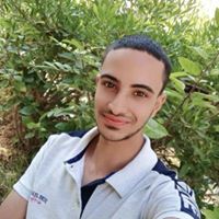 Mahmoud El-halawaty Profile Picture