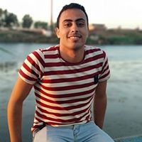 Amr Elshawa Profile Picture