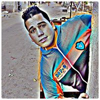 Amr Elabd Profile Picture