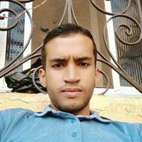 Kamal Elsayed Profile Picture