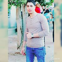 Ahmed El-Hawary Profile Picture
