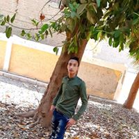 Ibrahim Hassan Profile Picture