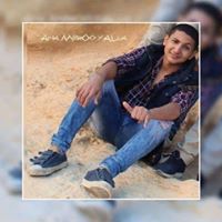 Amir SaMi Profile Picture